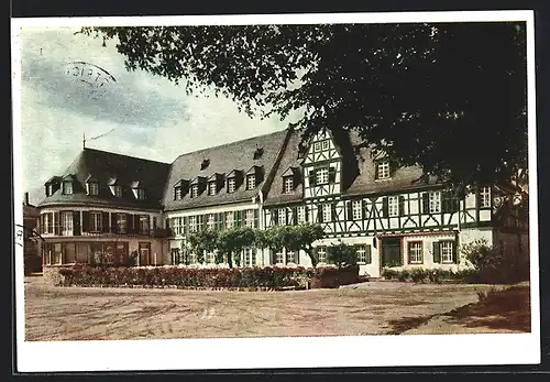 AK Oestrich /Rheingau, Hotel Schwan direkt am Rhein