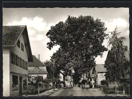 AK Aitrang /Allgäu, Strassenpartie im Ort