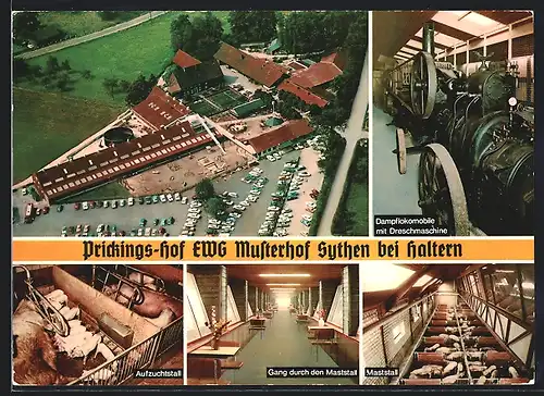 AK Sythen bei Haltern, Prickings-Hof EWG Musterhof