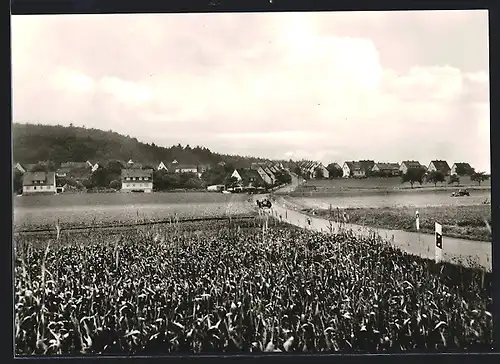 AK Verna-Welcherod, Ortsansicht mit Feldern