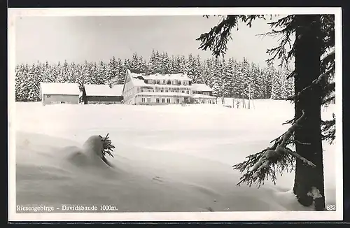 AK Davidsbaude im Riesengebirge, Berghütte verschneit im Winter