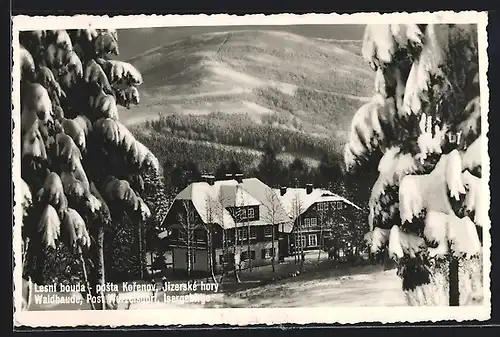 AK Waldbaude in Wurzelsdorf im Isergebirge im Schnee