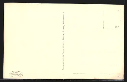 AK Ansicht der Leierbauden im Riesengebirge