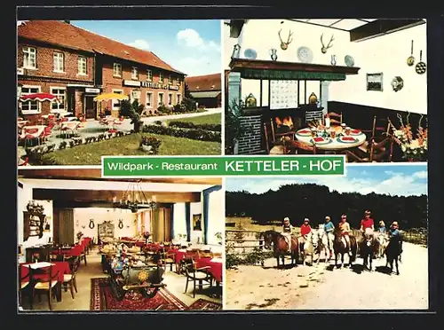 AK Haltern-Lavesum, Wildpark-Restaurant Ketteler Hof, Terrasse, Innenansicht, Reitunterricht