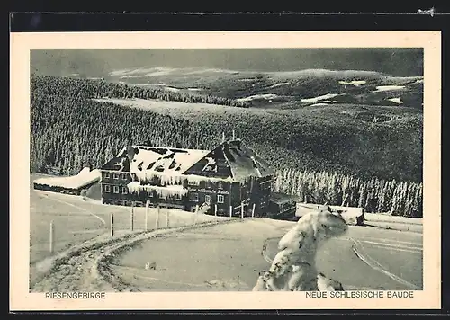 AK Neue Schlesische Baude im Riesengebirge im Schnee