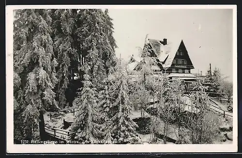 AK Zackelfallbaude im Riesengebirge im Winter
