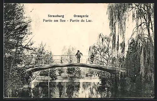 AK Strassburg, Orangerie, Partie am See