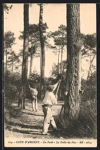 AK Forstarbeiter im Wald bei der Gewinnung von Harz