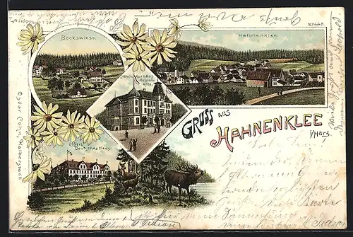 Lithographie Hahnenklee i / Harz, Hôtel und Kurhaus Hahnenklee, Hôtel Deutsches Haus, Bockswiese