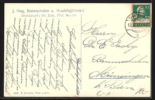 AK Dielsdorf, Baumschulen und Handelsgärtnerei J. Hug
