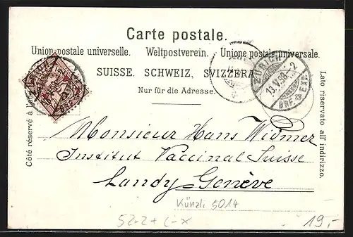 Lithographie Zürich, Teilansicht des Ortes mit Zürich-See und Glärnisch