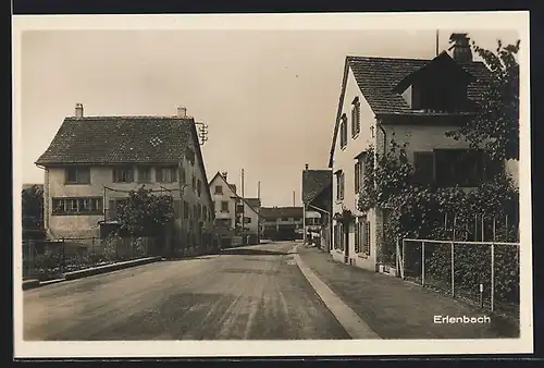 AK Erlenbach, Strassenpartie mit Wohnhäusern