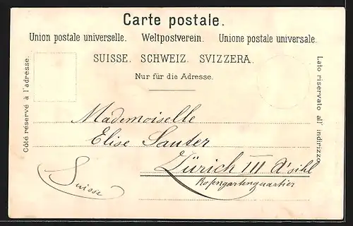 Lithographie Bex, Ortsansicht aus der Vogelschau