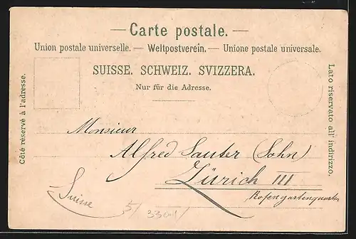 Lithographie Nyon, Le château et le Montblanc, Dampfer vor dem Ort