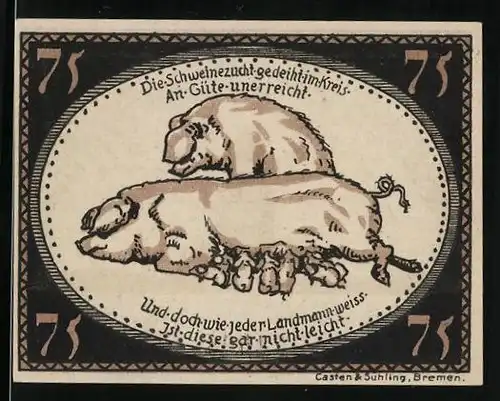 Notgeld Diepholz 1921, 75 Pfennig, Schweinezucht Gedicht