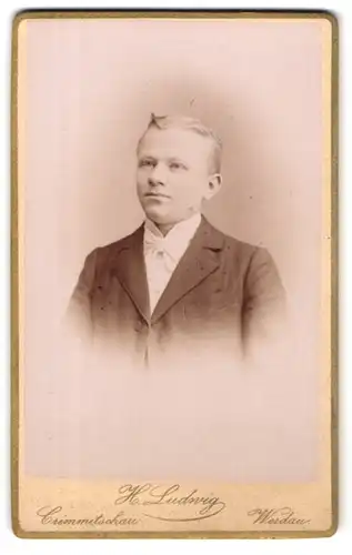 Fotografie H. Ludwig, Crimmitschau, Lindenstrasse, Bürgerlicher Knabe mit blondem Haar im schwarzen Anzug