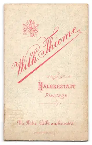 Fotografie Wilh. Thieme, Halberstadt, Junge Dame blättert in einem Album