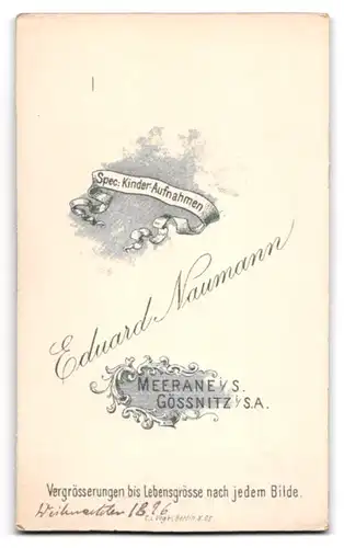 Fotografie Eduard Naumann, Meerane i. S., Süsses Kleinkind mit Spielzeugpferd