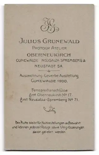 Fotografie Julius Grunewald, Oberneukirch, Mannmit Krawatte und Einstecktuch