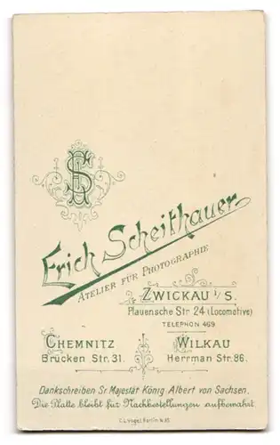 Fotografie Erich Scheithauer, Zwickau i. S., Plauensche Str. 24, Mann mit Schnurrbart und frisiertem Scheitel
