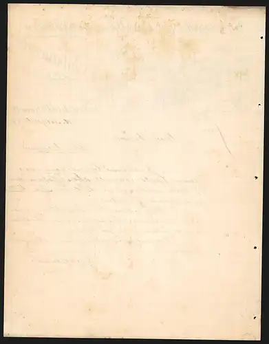 Rechnung Neustadt a. Haardt 1901, J. Neubauer & Co., Rheinpfälzische Reis- & Weizenstärkefabrik, Das Betriebsgelände