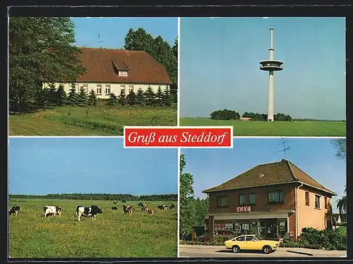 AK Steddorf / Heeslingen, Spar-Kuhnke, Funkturm, Kühe