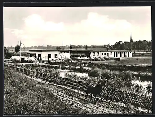 AK Delve, Campingplatz Eidertal mit Pony
