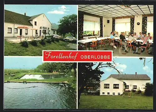 AK Oberlübbe, Gasthaus und Pension Forellenhof, Inh. W. Möhle, Lübber-Tor 50