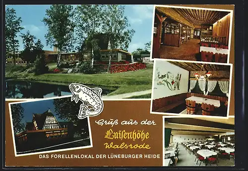 AK Walsrode /Lüneburger Heide, Restaurant Luisenhöhe