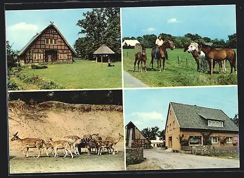 AK Trebel-Marleben, Reiterhof Klaucke mit Ferienwohnungen