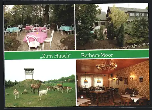 AK Rethem-Moor, Gasthaus Zum Hirsch, Rehe und Hirsche auf der Wiese