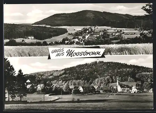 AK Gaggenau-Moosbronn /Schwarzwald, Gasthaus und Pension Zum Hirsch