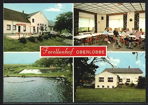 AK Oberlübbe, Gasthaus und Pension Forellenhof, Lübber-Tor 5, Innenansicht, Terrasse