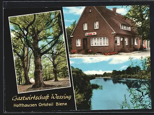 AK Biene / Holthausen, Gasthaus Wessing, Waldpartie