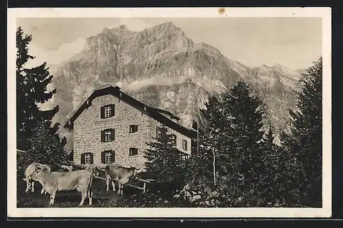 AK Zürcher Naturfreundehaus, Berghütte auf der Fronalp mit Wiggis und Rautispitz