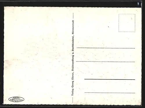 AK Münnerstadt, Blick auf die Stadtpfarrkirche