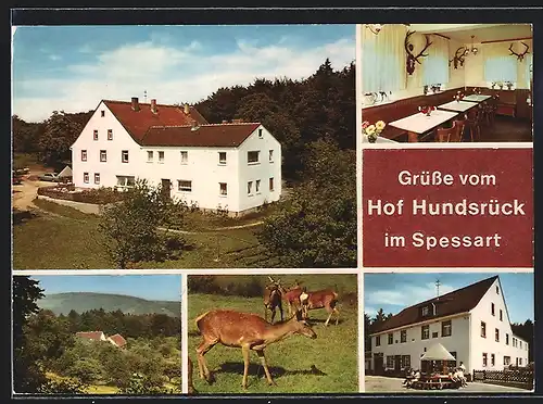 AK Eschau, Gasthaus Hof Hundsrück im Spessart