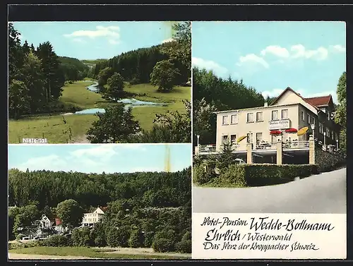 AK Ehrlich / Westerwald, Hotel-Pension Wedde-Bollmann, Nistertal
