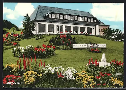 AK Wallmerod-Molsberg, Hotel-Pension Haus am Berg auf blühendem Hügel
