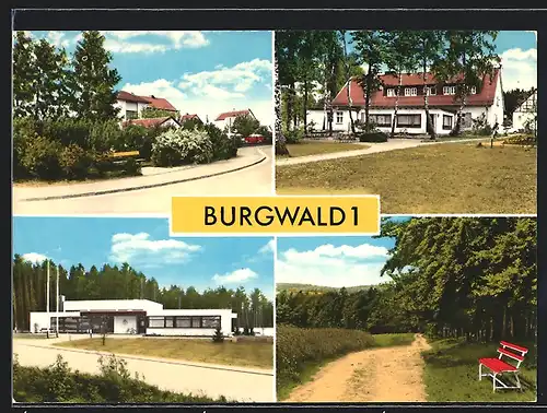 AK Burgwald / Eder, Gasthaus zm Burgwald, Frieda Hollmann, Birkenwald 4