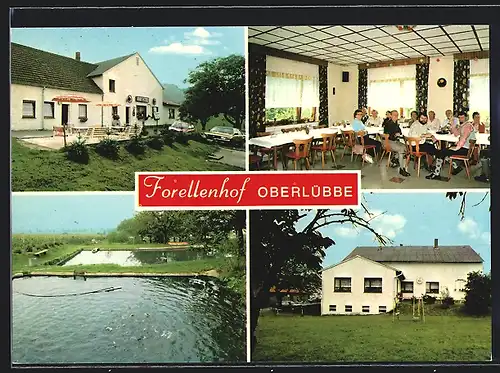 AK Oberlübbe, Gasthaus-Pension Forellenhof W. Möhle, Lübber-Tor 50