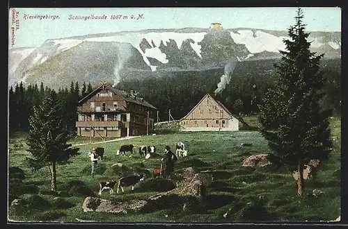 AK Schlingelbaude im Riesengebirge