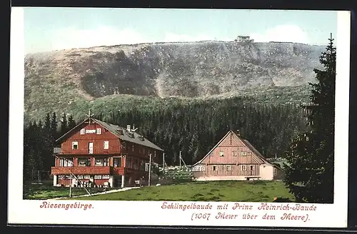AK Schlingelbaude mit Prinz Heinrich-Baude im Riesengebirge, Frontansicht der Berggasthäuser