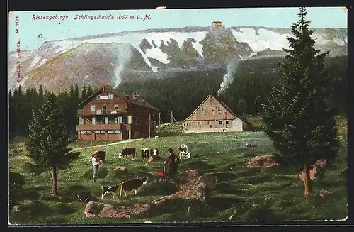 AK Schlingelbaude im Riesengebirge