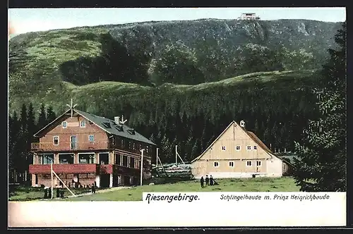 AK Riesengebirge, Schlingelbaude mit Prinz Heinrichbaude im Sommer