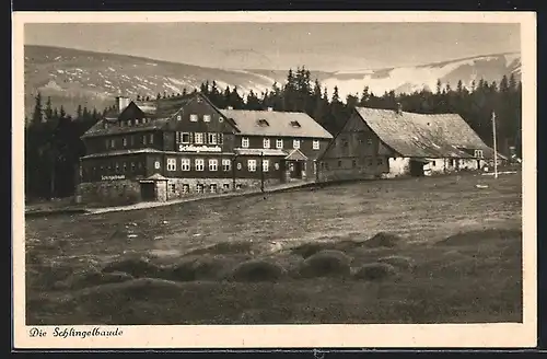AK Schlingelbaude hinter einer grossen Bergwiese