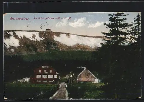 AK Schlingelbaude gegen den Gebirgskamm mit der Prinz-Heinrich-Baude darauf