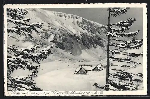 AK Teichbaude, Winter im Riesengebirge, Baude mit Umgebung