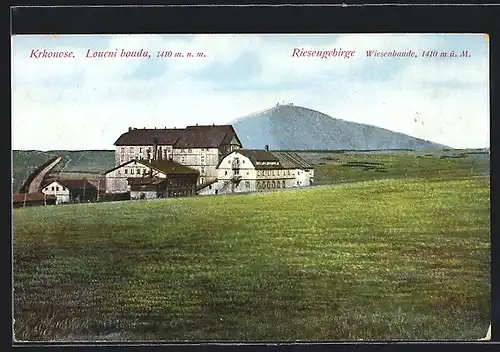 AK Wiesenbaude im Riesengebirge, Blick gegen Schneekoppe