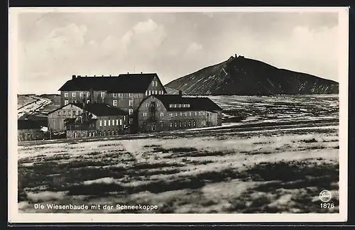 AK Wiesenbaude mit der Schneekoppe